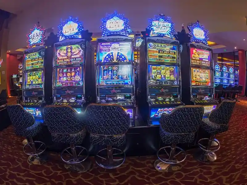 chokddd365 หวย ออนไลน์